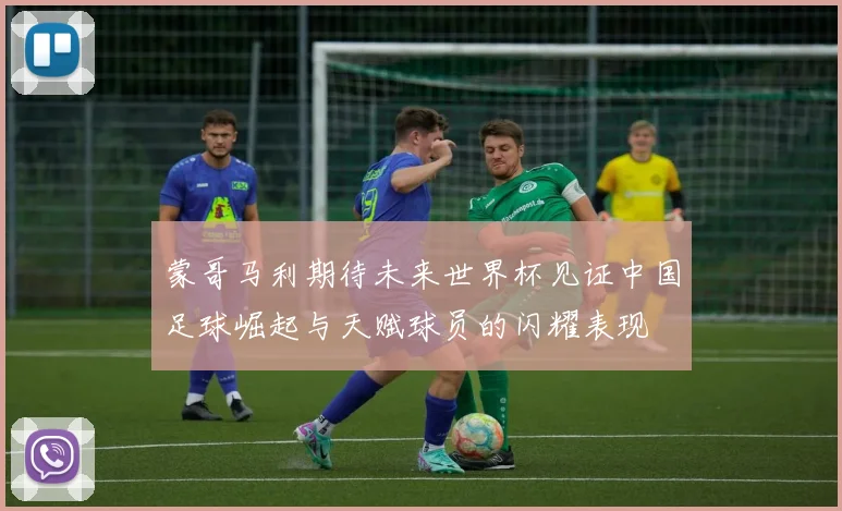 蒙哥马利期待未来世界杯见证中国足球崛起与天赋球员的闪耀表现