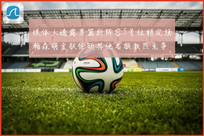 媒体人透露男篮新阵容5号位锁定杨瀚森胡金秋徐昕其他名额激烈竞争